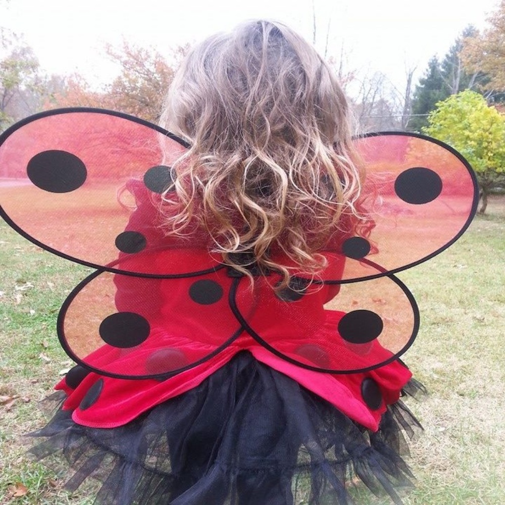 ❌NOT FOR SALE❌Red Polka Dot Ladybug Costume - Picture 2 of 8